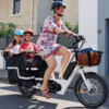 Vélo Emeraude - vente vélo triporteur électrique U-Cargo Family