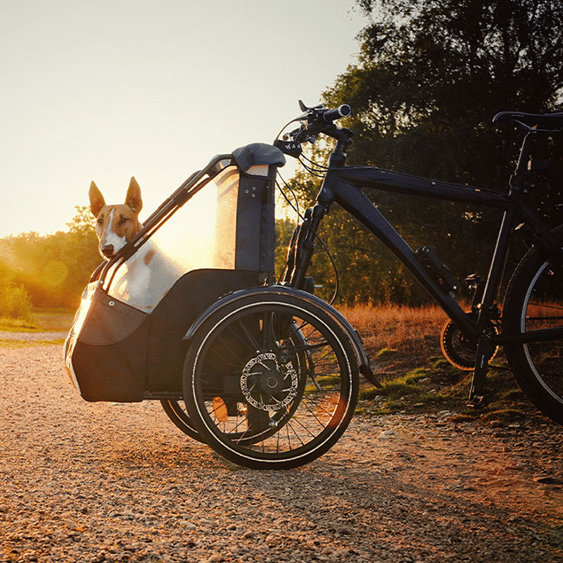 Remorque avant vélo pour transport d'enfant - Kit Kid AddBike