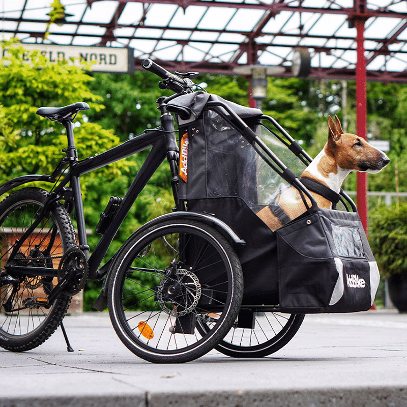 Kit transport Chien AddBike - A installer à la place de la roue