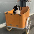Triporteur Kid+ - option porte d'acces sur la caisse