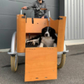 Triporteur Kid+ - option porte d'acces sur la caisse