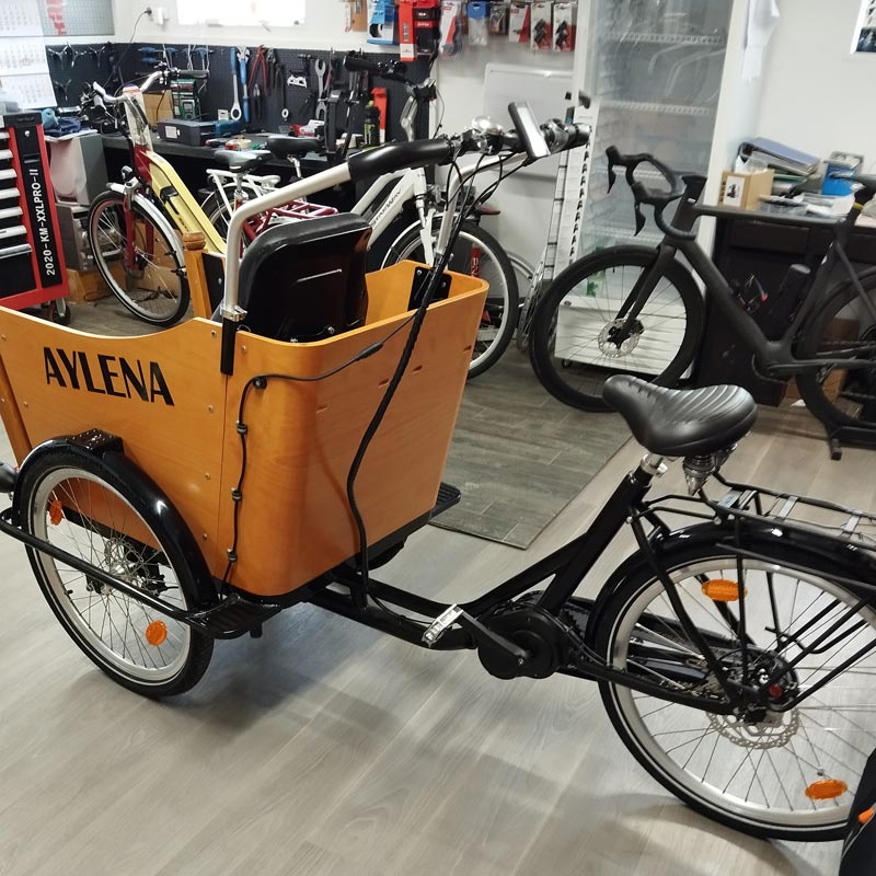 Vélo Cargo - Triporteur PMR adapté pour le transport d'une personne à mobilité réduite Aylena