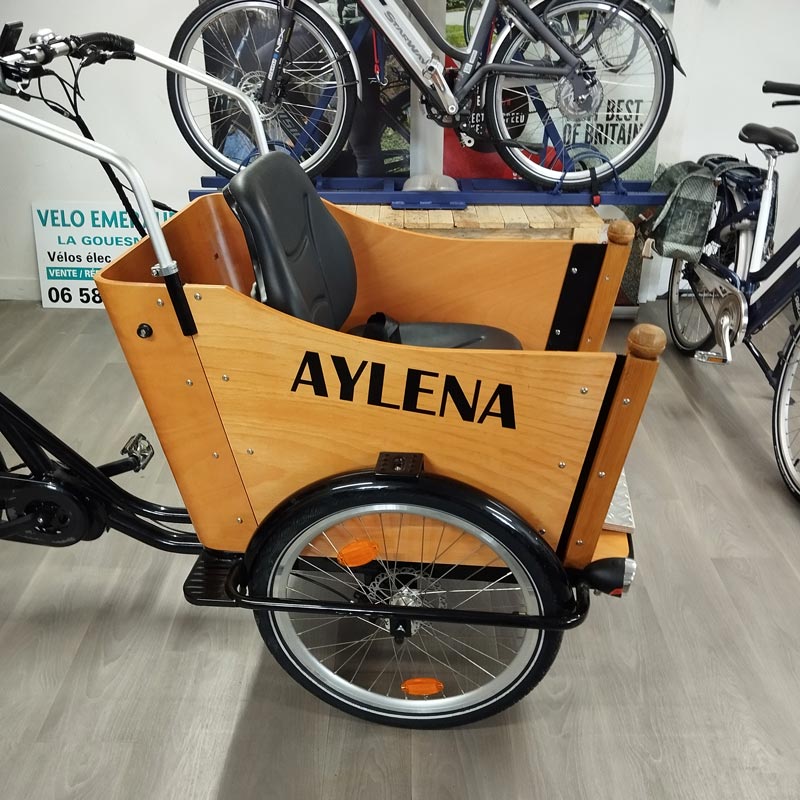 Vélo Cargo - Triporteur PMR adapté pour le transport d'une personne à mobilité réduite Aylena