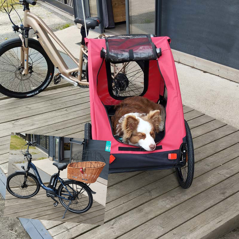 location de remorque et de panier pour chien pour vélo